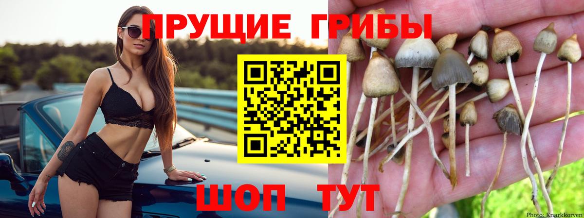 где купить   Псилоцибиновые грибы мицелий  Вход с VPN  Нефтеюганск 